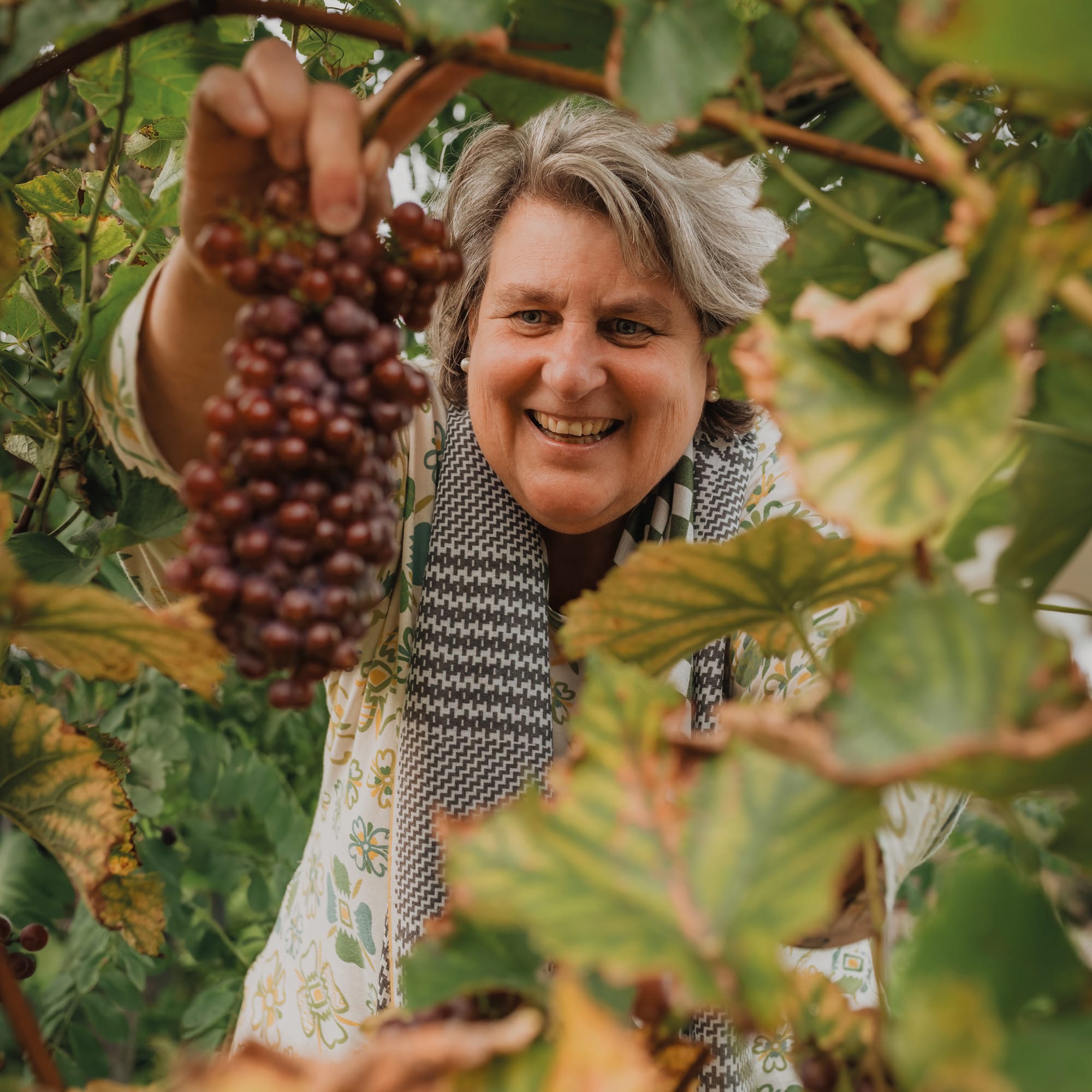 Kien-van-Hövell-tot-Westerflier