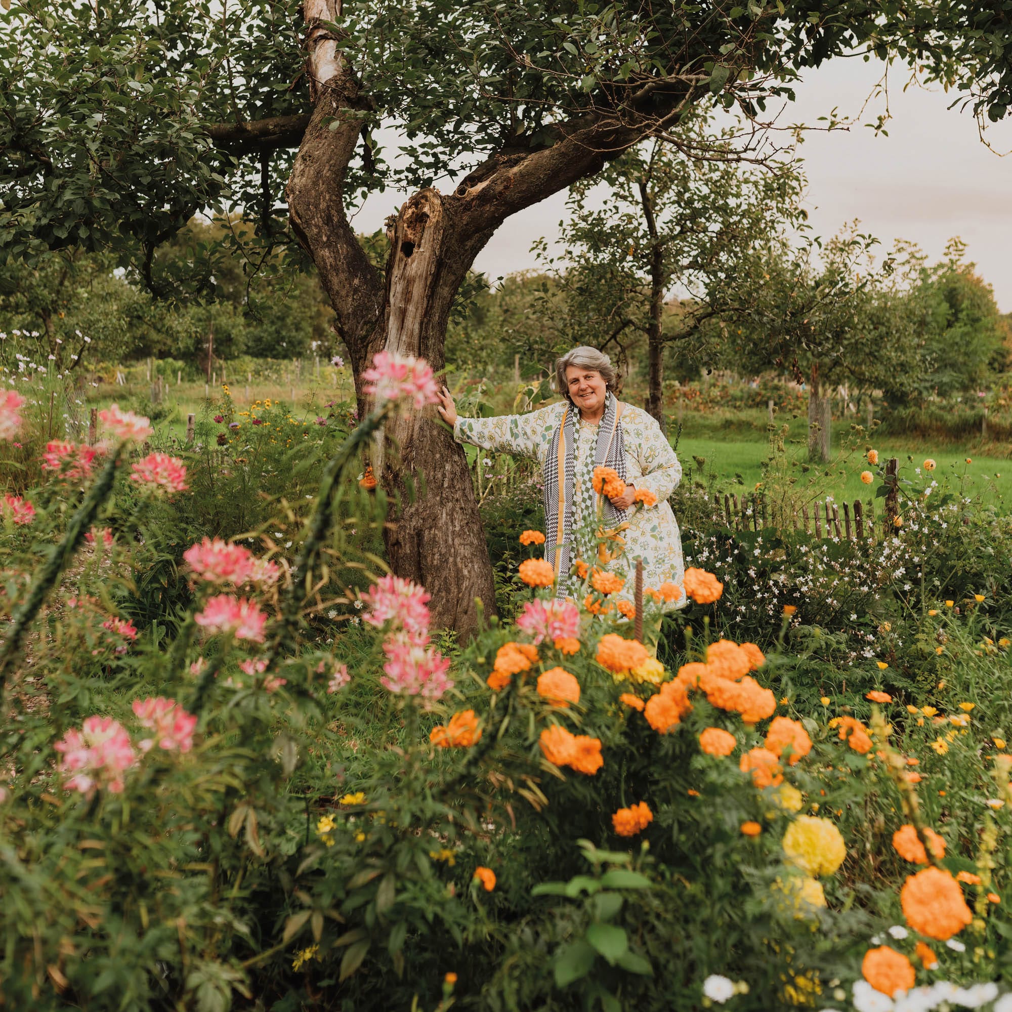 Kien-van-Hövell-tot-Westerflier