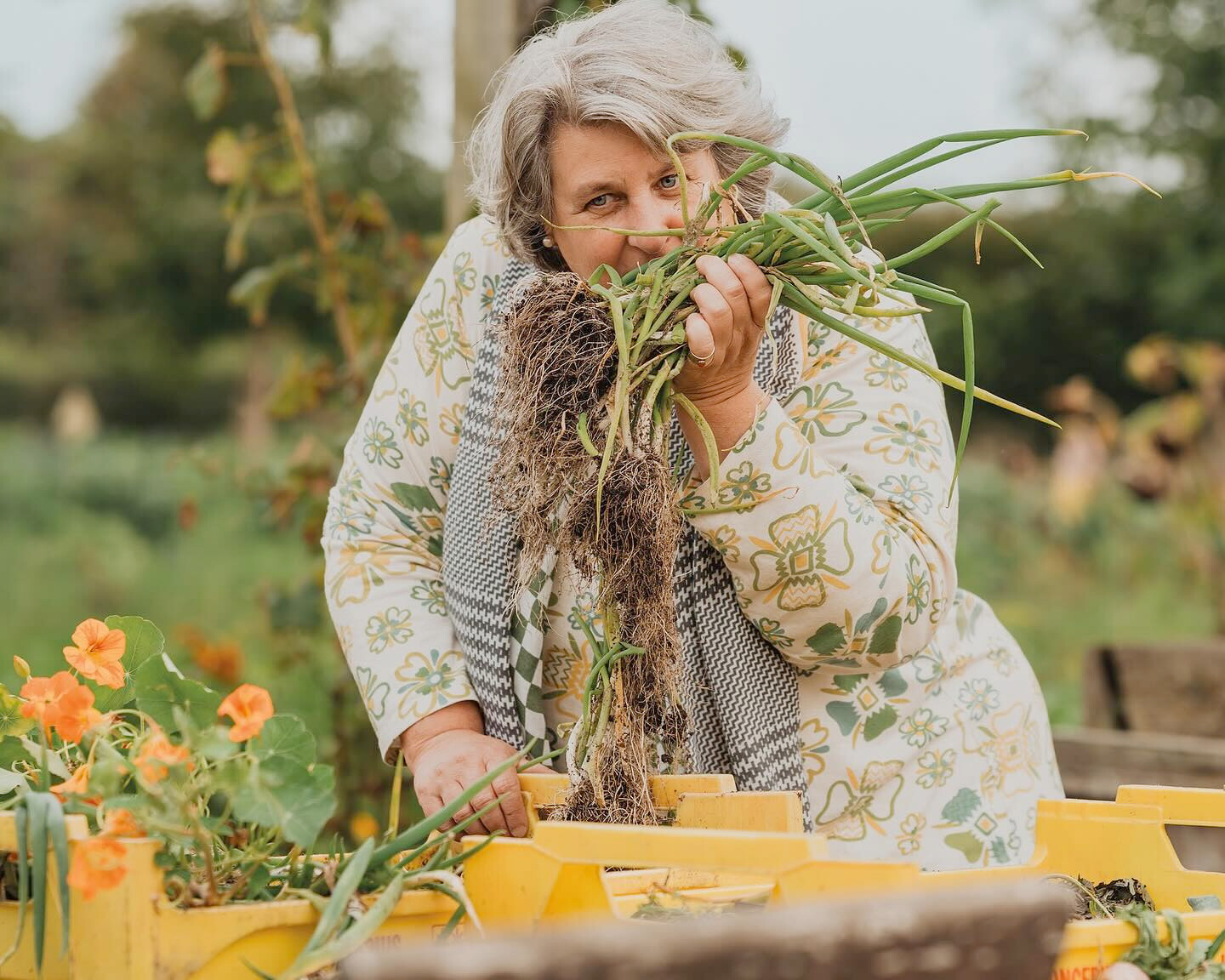 Kien-van-Hövell-tot-Westerflier