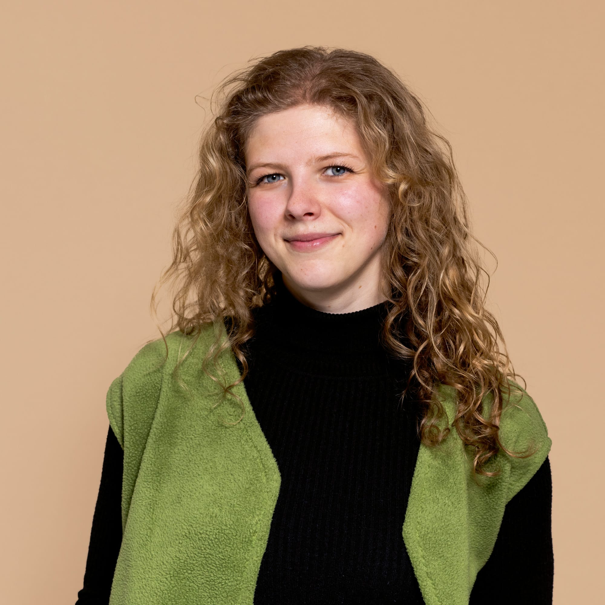 Jodi-Roerdink