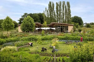 buitencampus-2026-bep-club-nijmegen