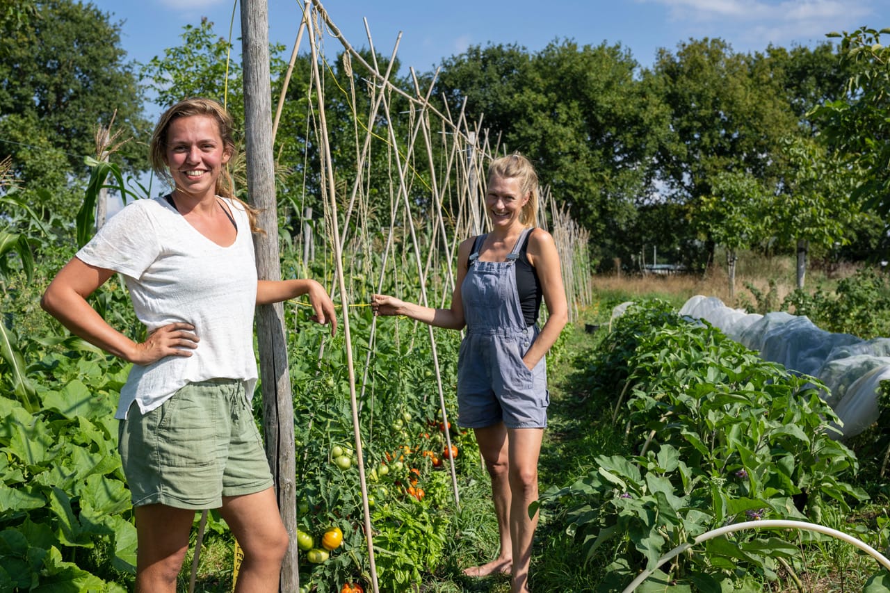 Het-Heerlijke-Land