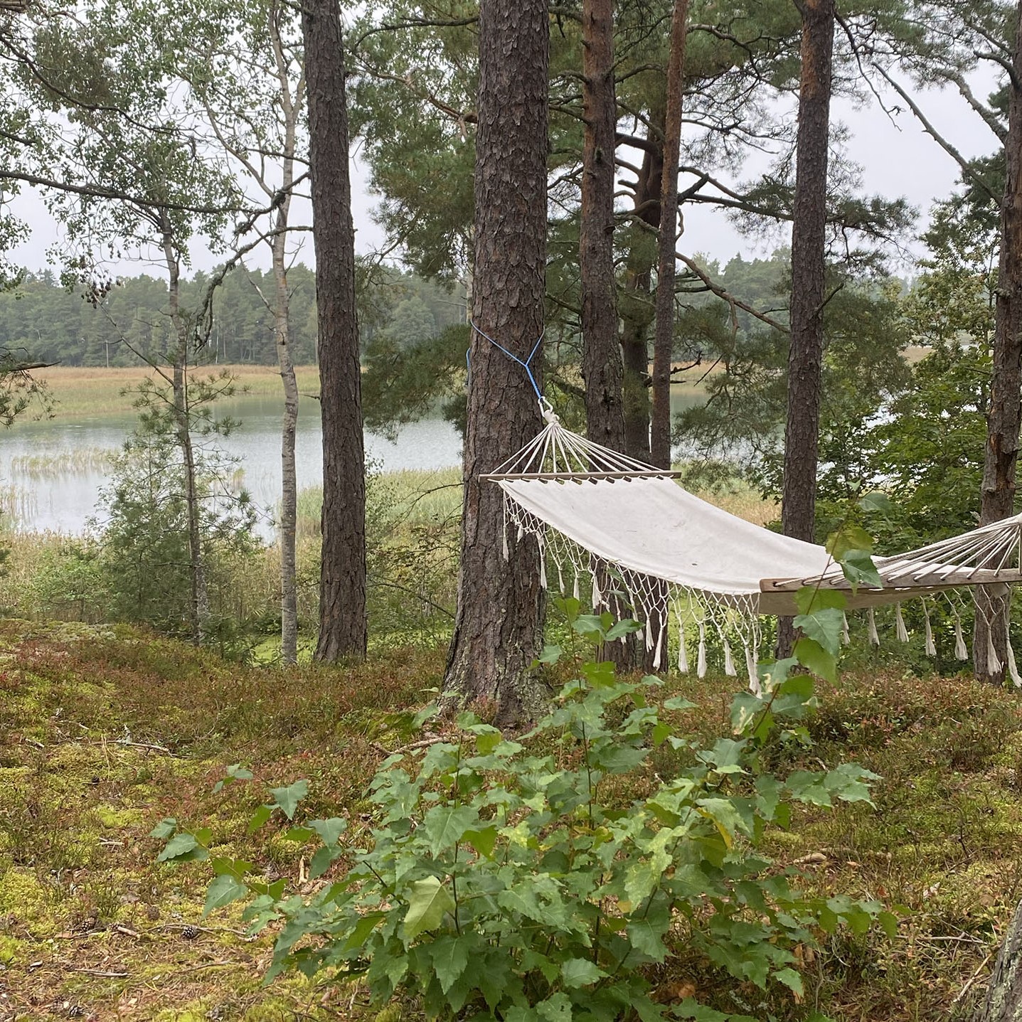 digitale-detox-bep-nijmegen