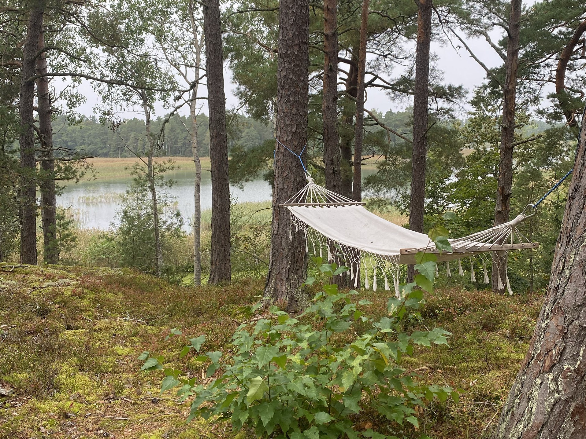 digitale-detox-bep-nijmegen