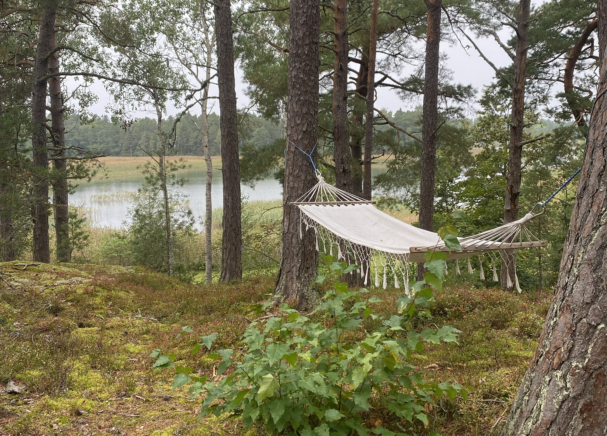 digitale-detox-bep-nijmegen